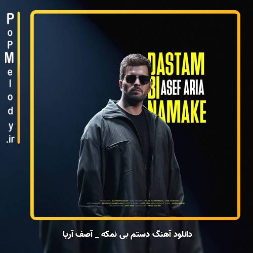 دانلود آهنگ آصف آریا دستم بی نمکه (تو ببخش اگه دستم بی نمکه برعکس تو قلبم بی کلکه)